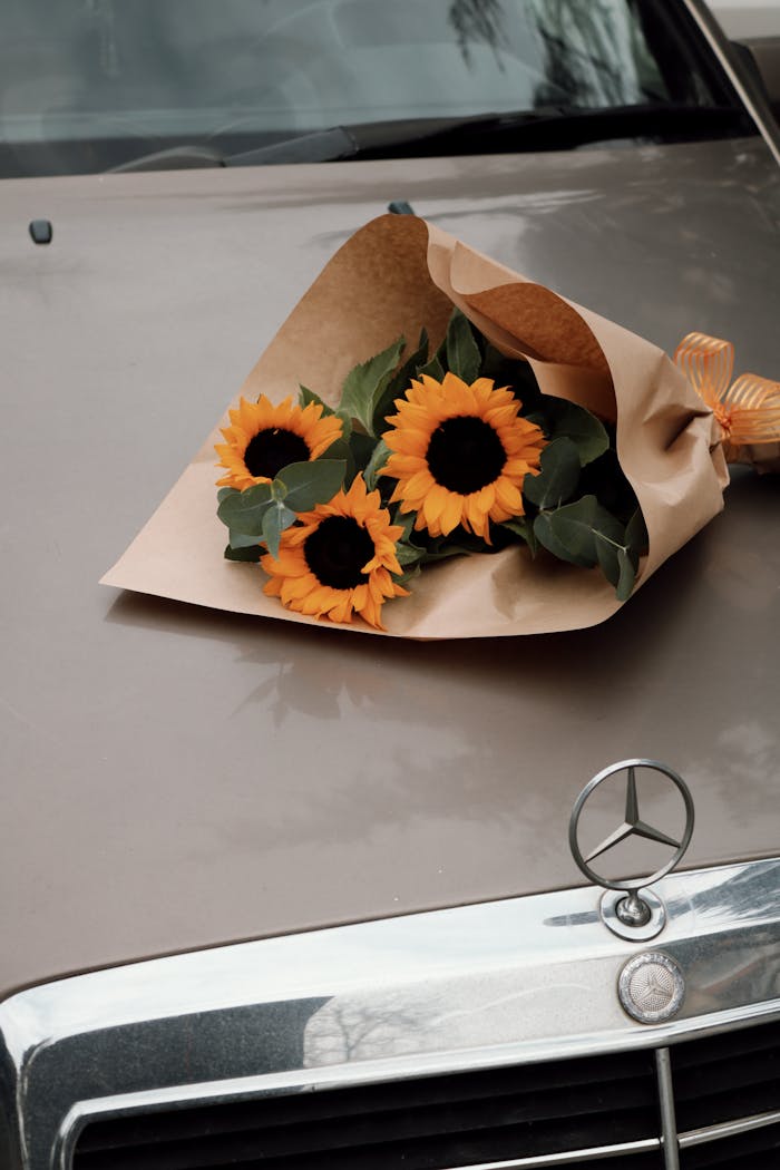 A bouquet of vibrant sunflowers elegantly arranged on a luxury car hood, perfect for a stylish statement.