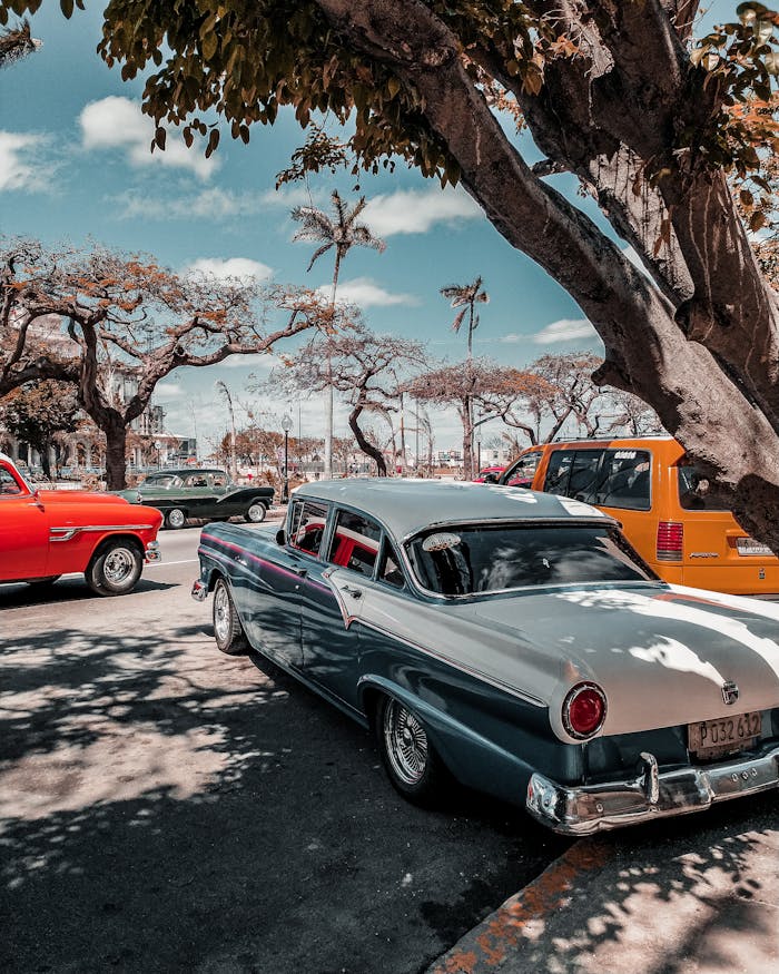 Classic vintage cars parked under palm trees in sunny Havana, showcasing nostalgia and style.